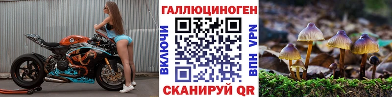 как найти   Киренск  Псилоцибиновые грибы ЛСД 